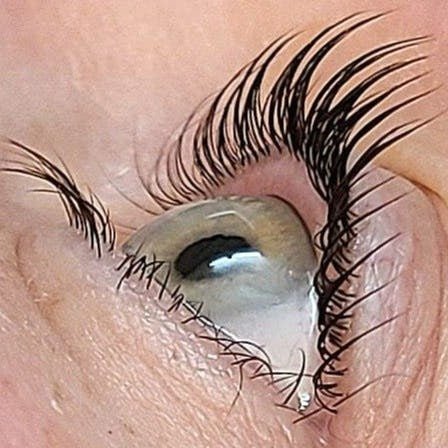 Accelerated Lash Lift + Tint Certification Exam - Shop Bee Pampered