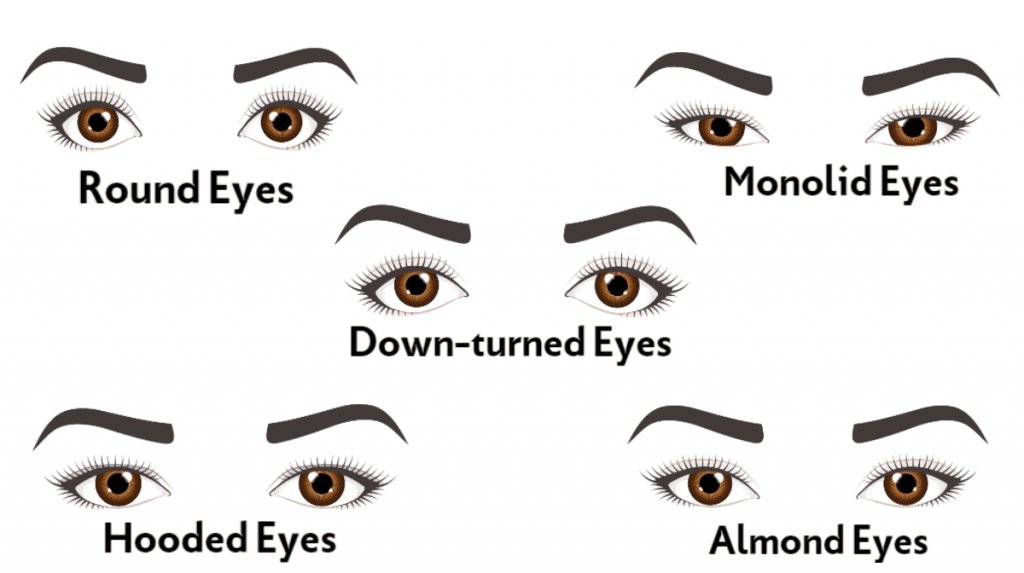 How To Determine Your Eye Shape – Shop Bee Pampered