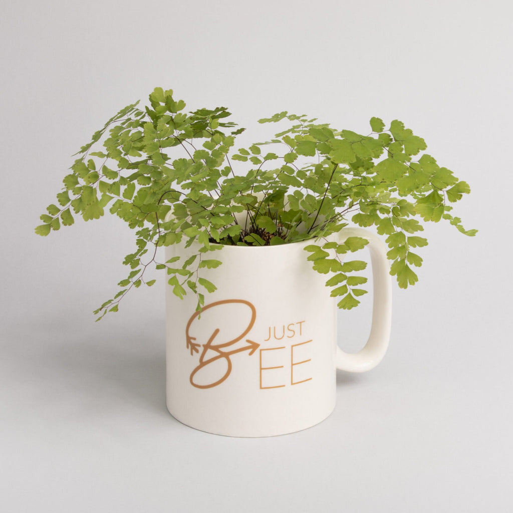 Oversized Coffee Mug - Shop Bee Pampered